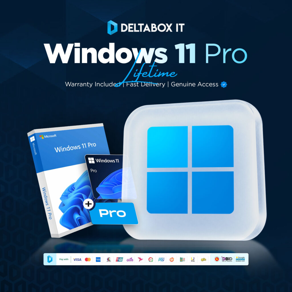 Windows 11